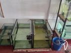 Fish Tank Lot