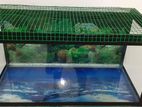 Fish Tanks (Glass)