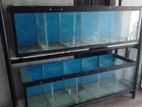 Fish Tanks with Stand