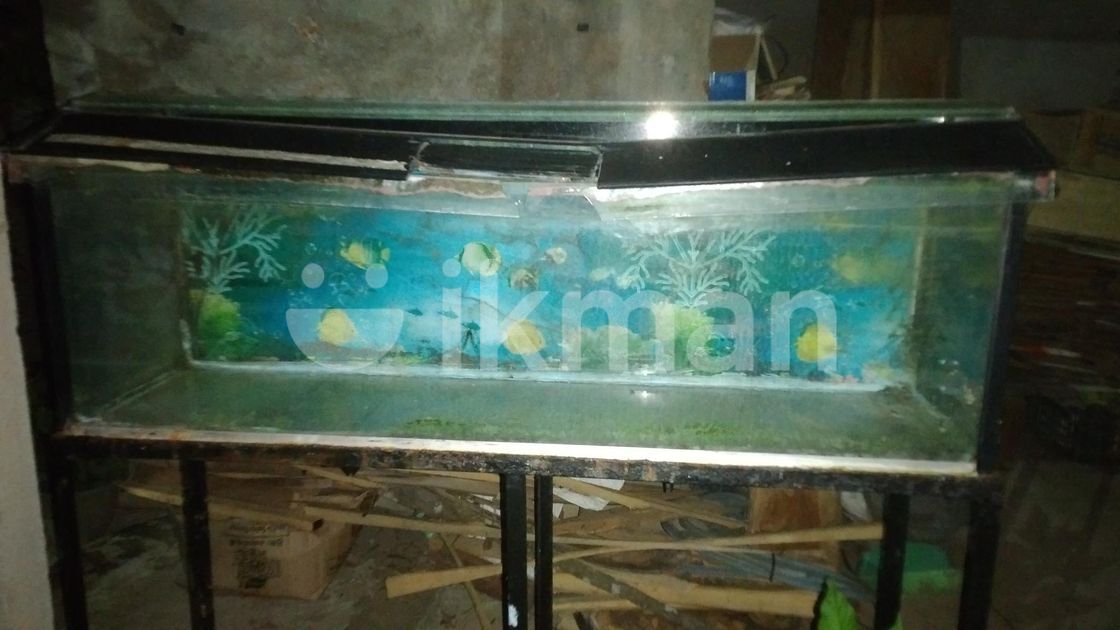 Fish Tank with Stand in Gampaha City ikman