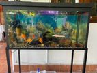 Fish Tank with Full Set