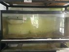 ඇරවාන Fish with Tank