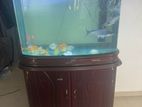 aquarium Fishes with Tank