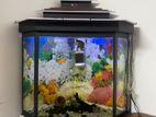 Fish Tank with Fishes