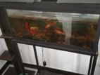 Fish Tank with
