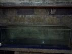 Fish Tanks