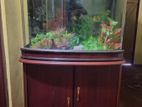 Fishtank
