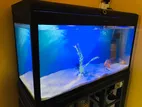Fishtank Full Set