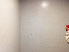 Flake Epoxy Flooring
