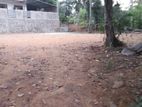 Flat Land Available for Long-Term Lease Horana