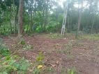 Flat Land for Sale Kandy Digana