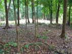 FLAT LAND FOR SALE GALAGEDARA