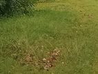 Flat Land For Sale in Aruppola - Kandy