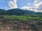 Flat Land For Sale In Bandarawela