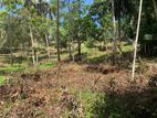 Flat Land for Sale in Gelioya