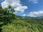 Flat Land for Sale in Gelioya