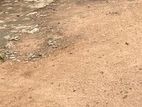 Flat Land For Sale in Heeressagala - Bodhiyangana Mw