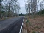 flat Land for sale in Homagama Thalagala