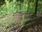 Flat Land For sale in Kandy (behind the court)