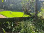 Flat Land For Sale in Kandy