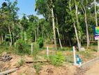Flat land for sale In kandy