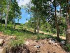 Flat Land for Sale in Kandy