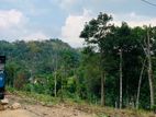 Flat Land for Sale in Kandy