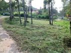 Flat land for sale In Kandy