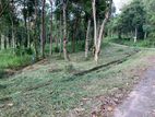 Flat Land for Sale in Kandy