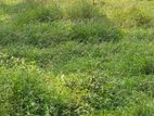 Flat Land For Sale in Kandy Lake round