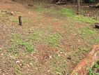 Flat Land For sale in Kandy lake round