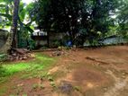 Flat Land For Sale in Lewella (with old House)