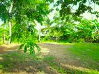 Flat Land for sale in Mortuwa