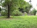 Flat Land for Sale in Mount Lavinia