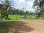 Flat Land for Sale in Pannipitiya