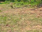 Flat Land For Sale in Peradeniya New Road