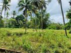 Flat Land for Sale in Polgahawela