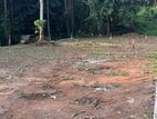 Flat Land For Sale in Polgolla - Kandy