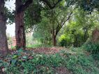 Flat Land for Sale in Watapuluwa