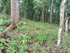 Flat Land for Sale Wattegama
