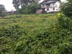 Flat Land For Sale - Moragahahena | Horana