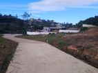 Flat Land for Sale Nuwara Eliya City