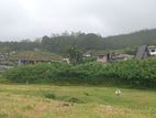 Flat land for sale Nuwara Eliya