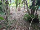 Flat Land For Sale - Pilimathalawa