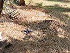 Flat Land Sale in Polgahawela
