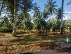 Flat Lands for Sale Homagama Thalagala