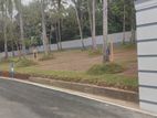 Flat Lands for Sale in Thalawathugoda