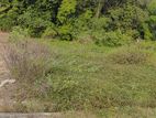 Flat Residential Land for Sale – Morenthuduwa, Bandaragama