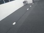Floor Carpet