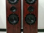 Floor Standing Speakers